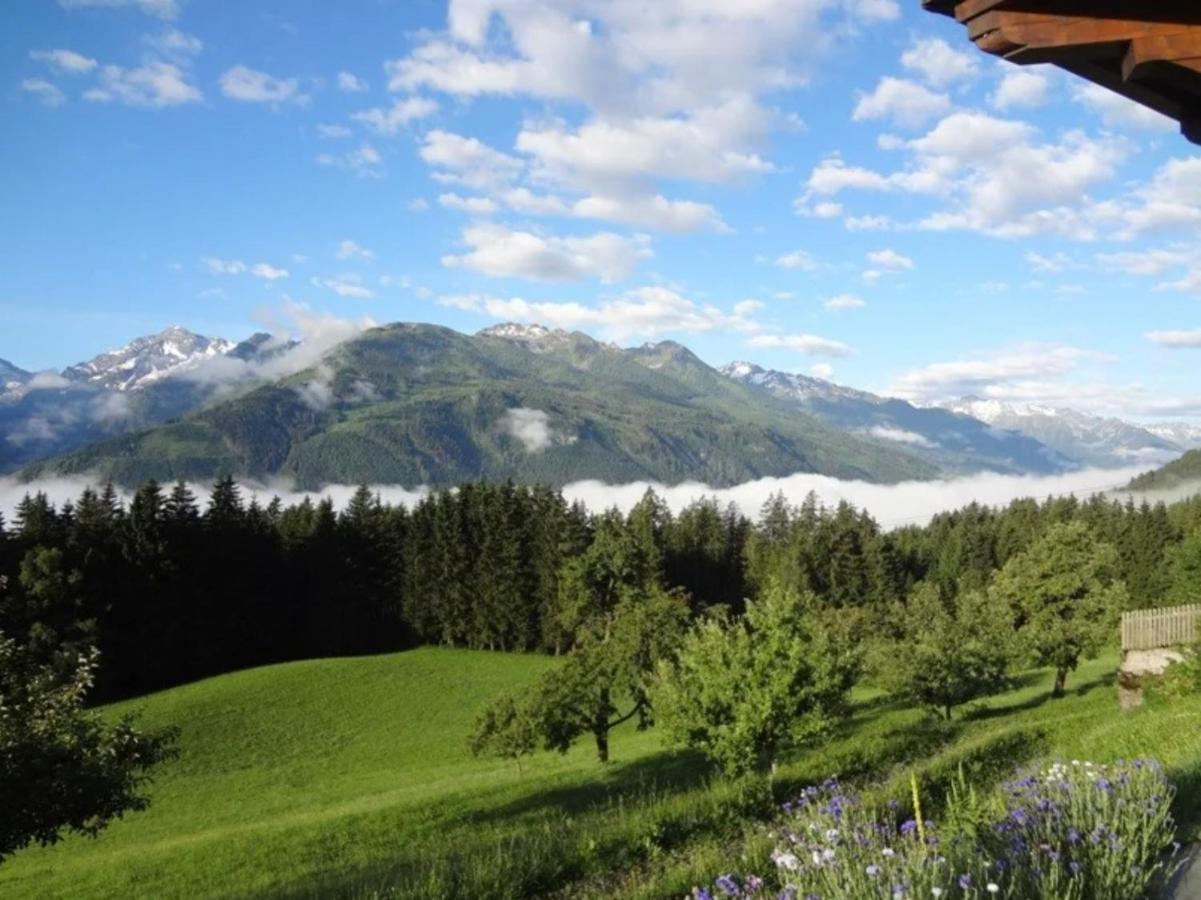 Bergbauernhof Seetalhof Hollersbach im Pinzgau Exterior foto